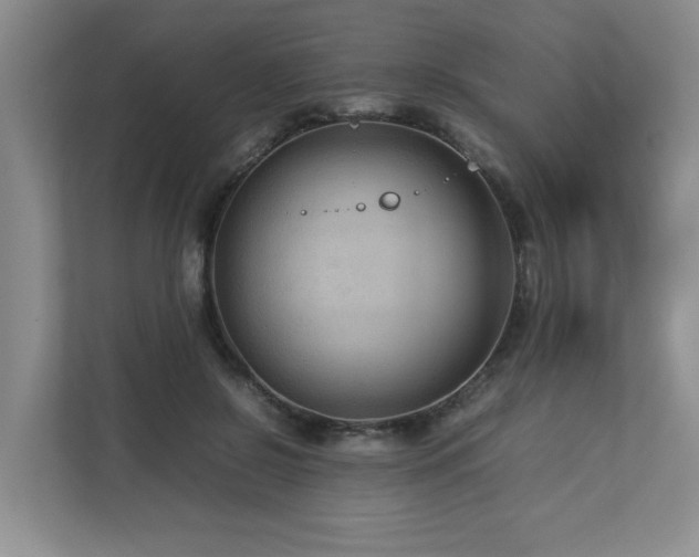 X0000112730550200908201328