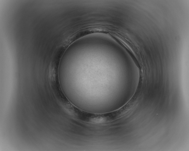 X0000112730551200908201328