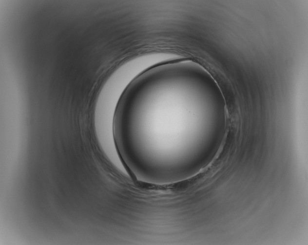 X0000112730552200908201328