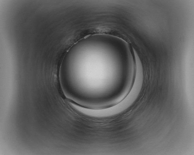 X0000112730553200908201328