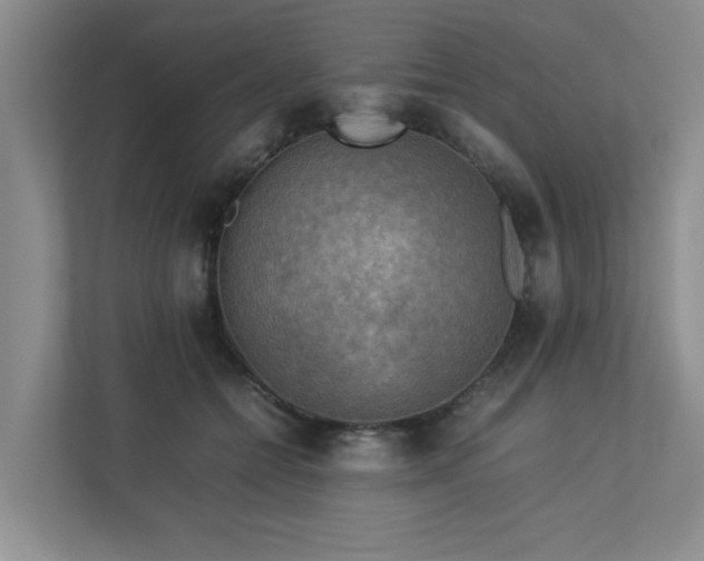 X0000112730558200908201328