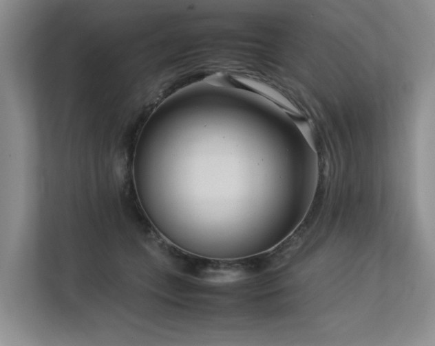 X0000112730559200908201328