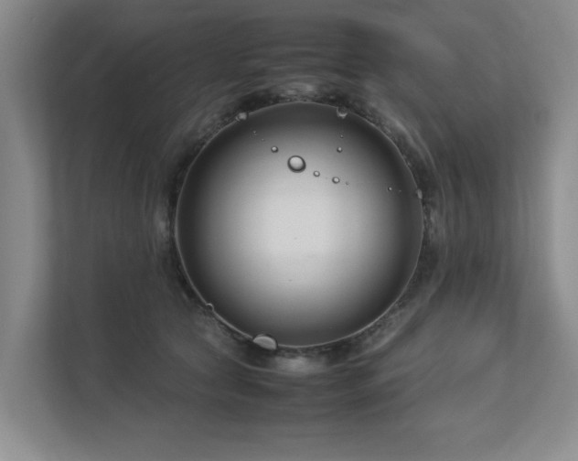 X0000112730561200908201328