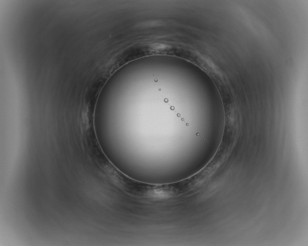 X0000112730565200908201328