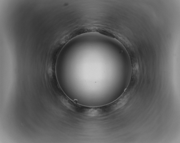 X0000112730566200908201328