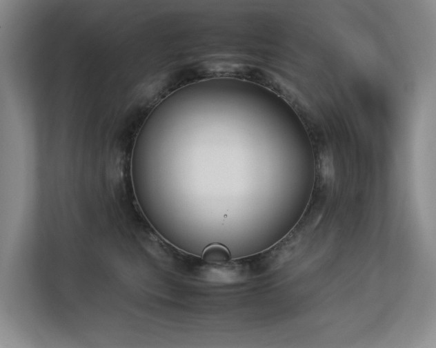 X0000112730567200908201328