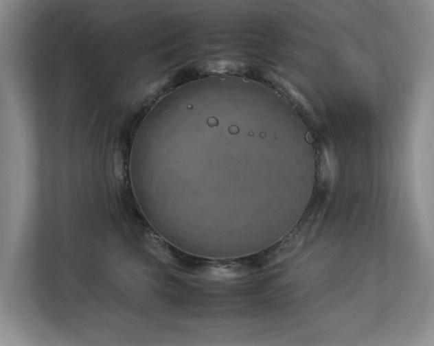 X0000112730569200908201328