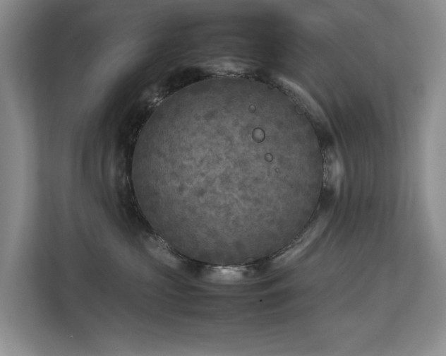 X0000112730573200908201328