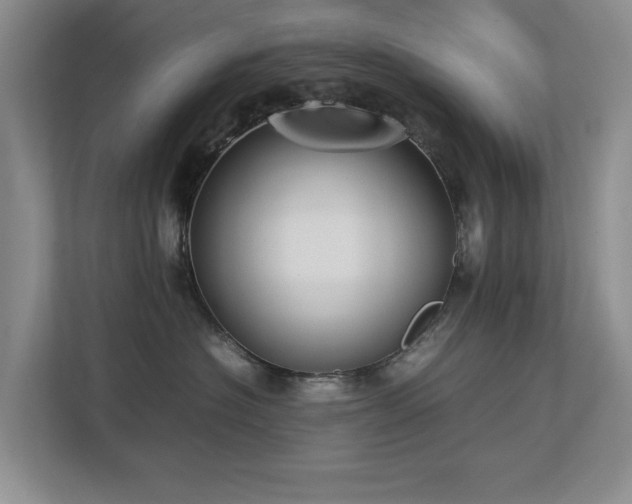 X0000112730574200908201328