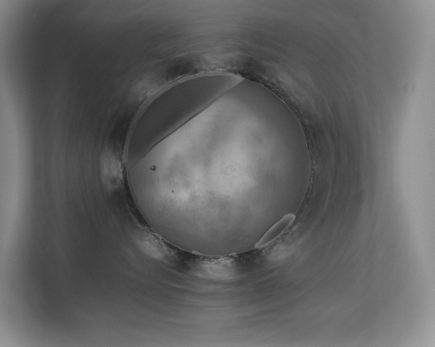 X0000112730576200908201328