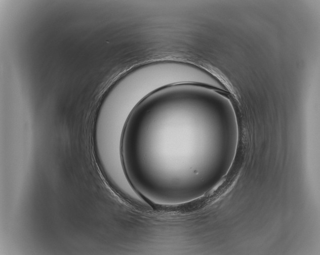 X0000112730577200908201328