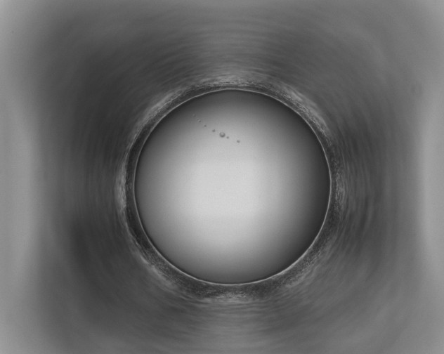 X0000112730578200908201328