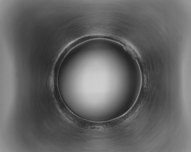 X0000112730580200908201328