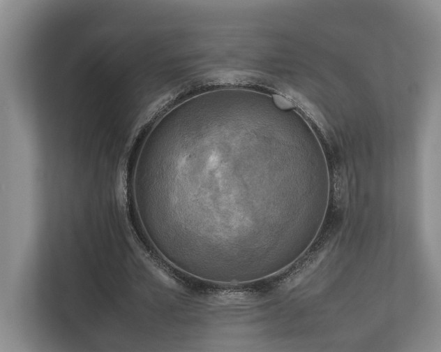 X0000112730581200908201328