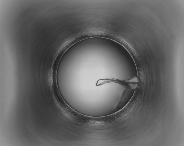 X0000112730582200908201328