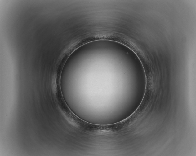 X0000112730586200908201328