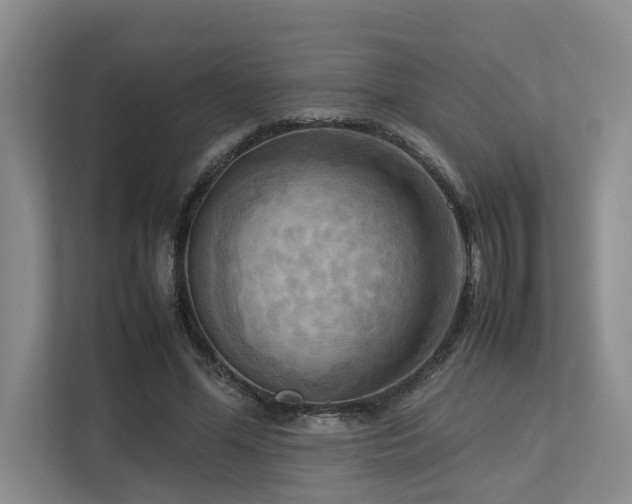 X0000112730588200908201328