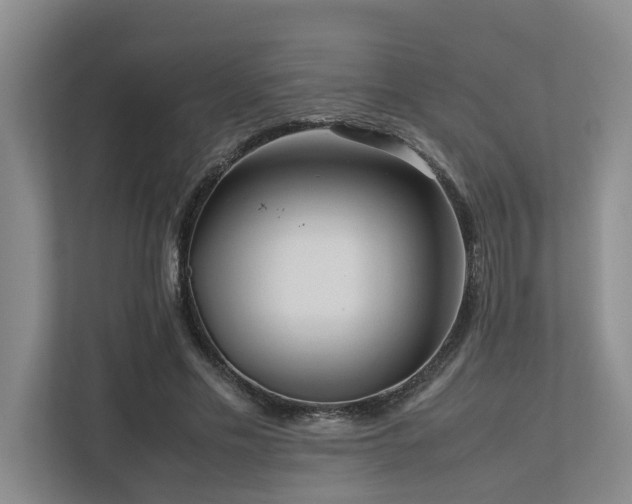 X0000112730589200908201328