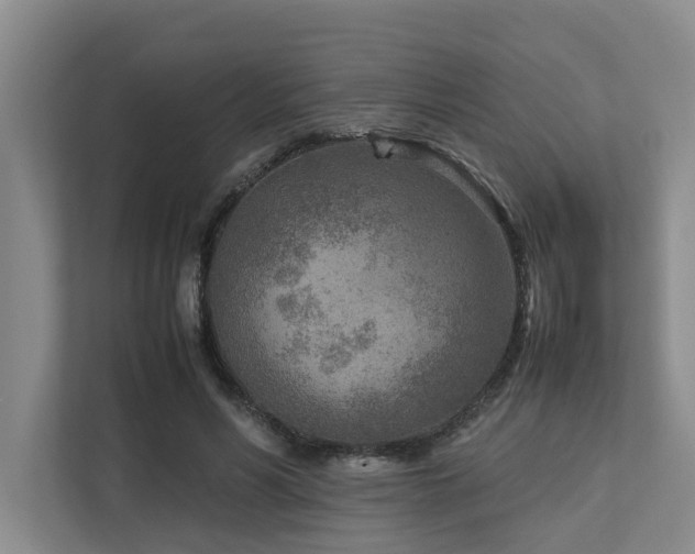 X0000112730590200908201328