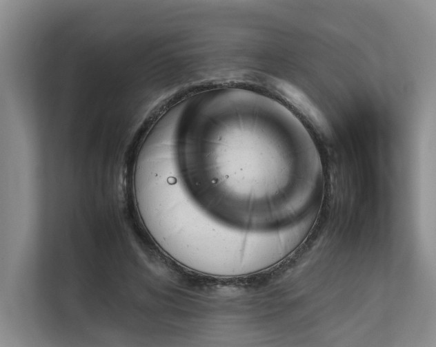 X0000112730592200908201327