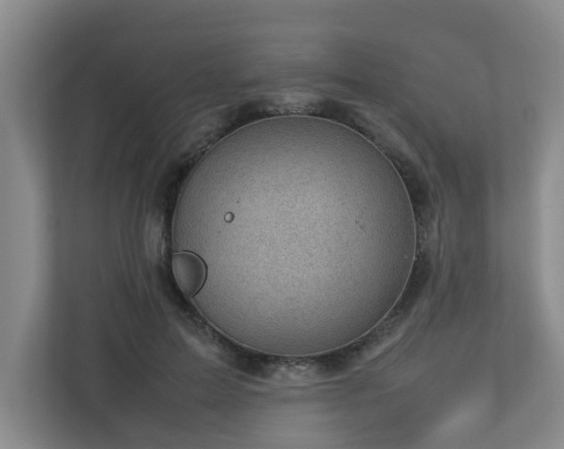 X0000112730599200908201327