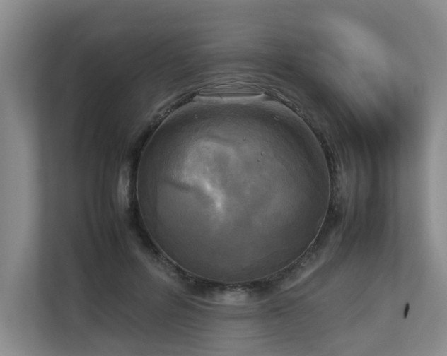 X0000112730600200908201327