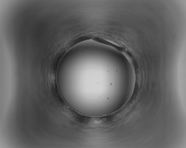 X0000112730613200908201327