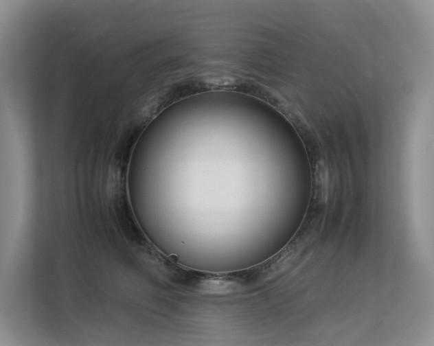 X0000112730614200908201327