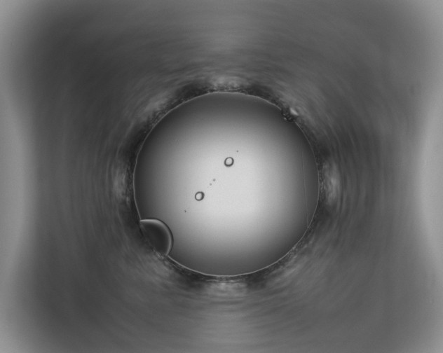 X0000112730619200908201327