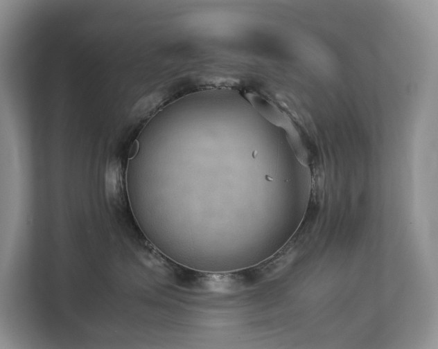 X0000112730623200908201327