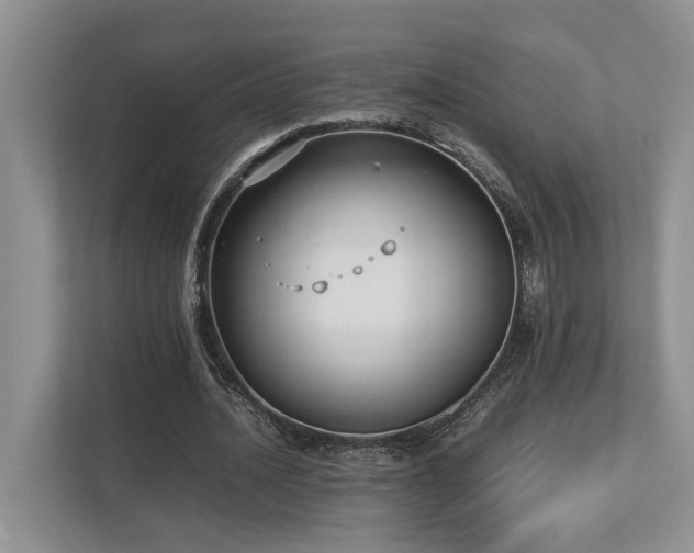 X0000112730628200908201326