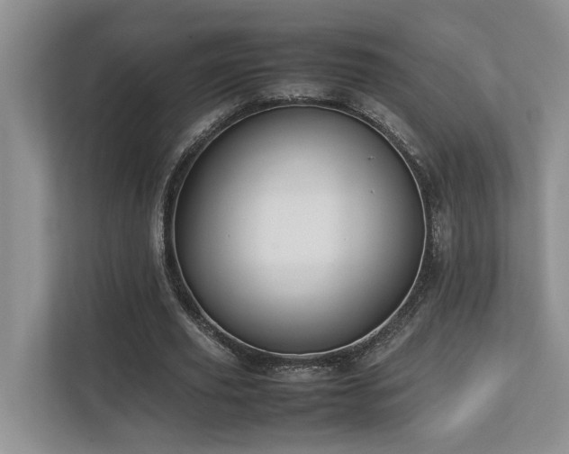 X0000112730629200908201326