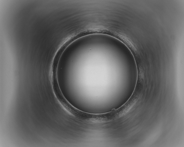 X0000112730630200908201326