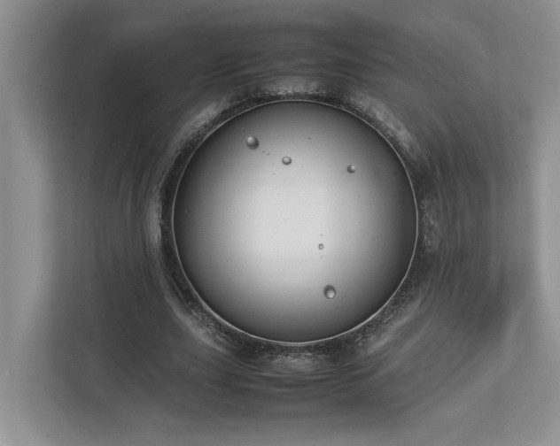 X0000112730631200908201326