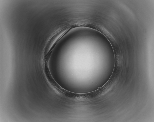 X0000112730634200908201326