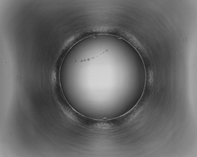 X0000112730636200908201326