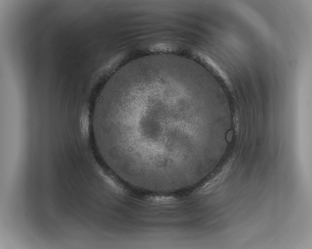 X0000112730637200908201326