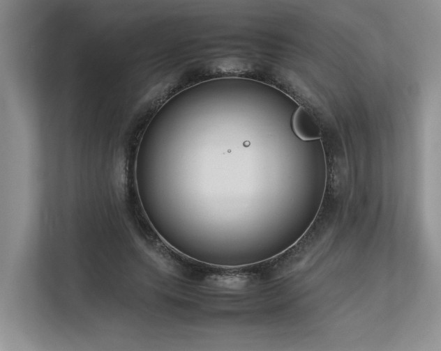 X0000112730639200908201326