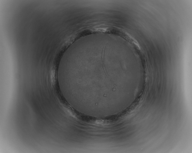 X0000112730641200908201326