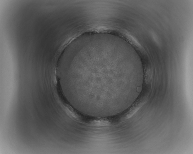 X0000112730644200908201327