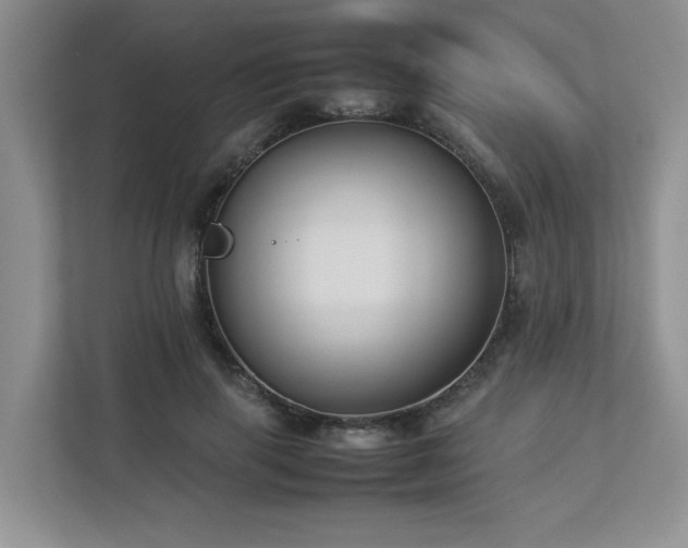 X0000112730645200908201327