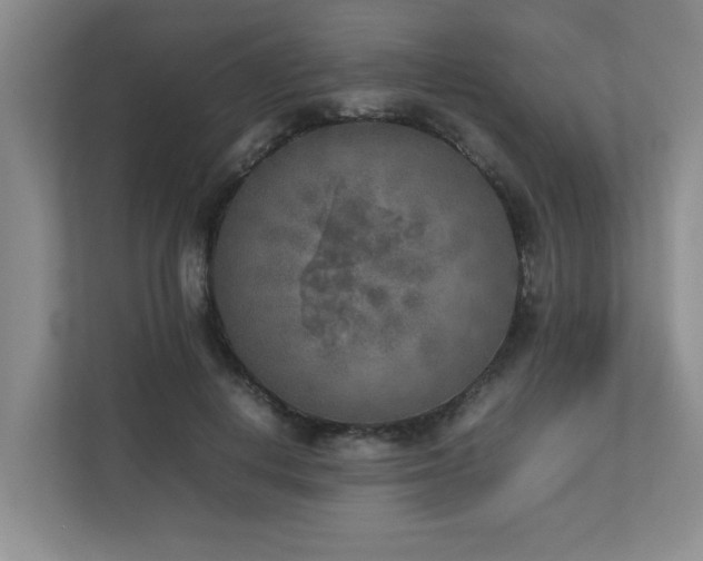 X0000112730648200908201327