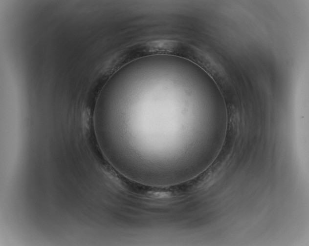 X0000112730649200908201327