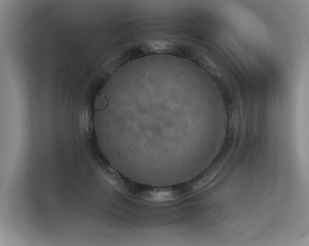 X0000112730651200908201327