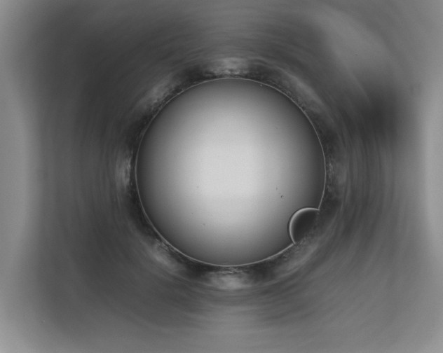 X0000112730652200908201327