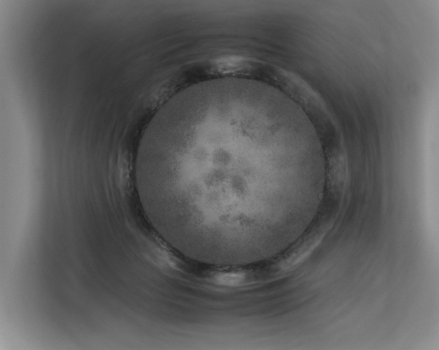 X0000112730653200908201327