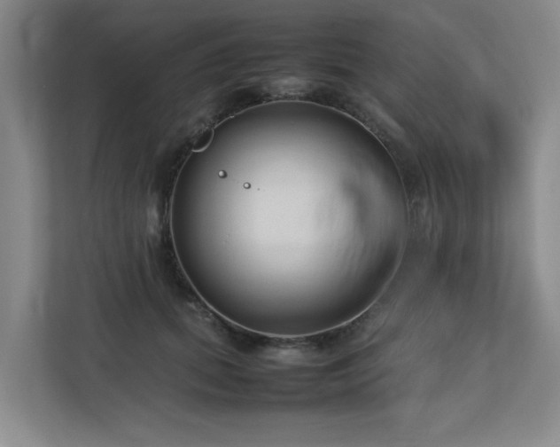 X0000112730655200908201327