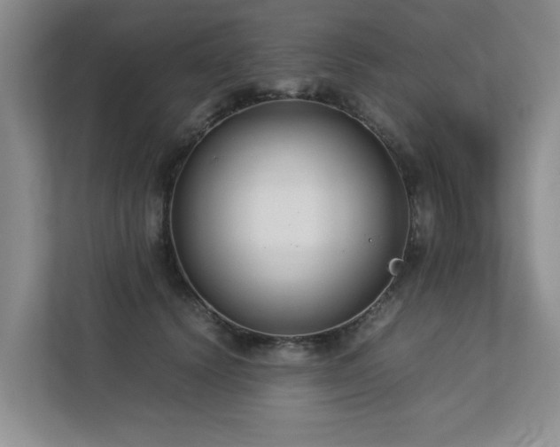 X0000112730656200908201327