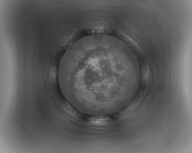 X0000112730661200908201327