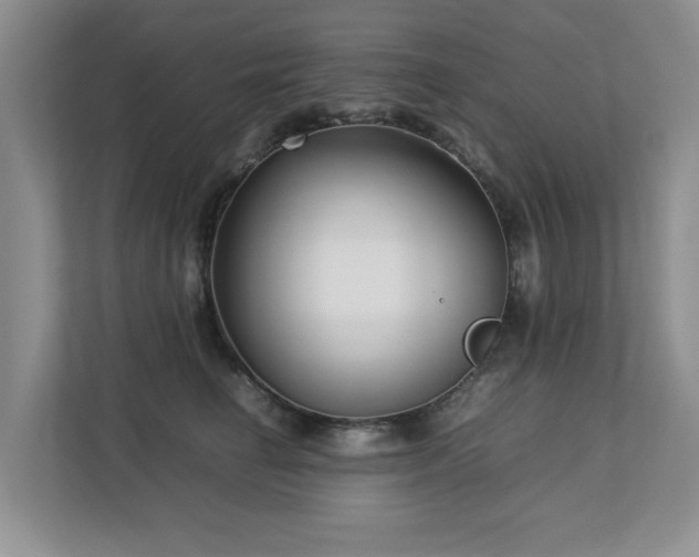 X0000112730662200908201327